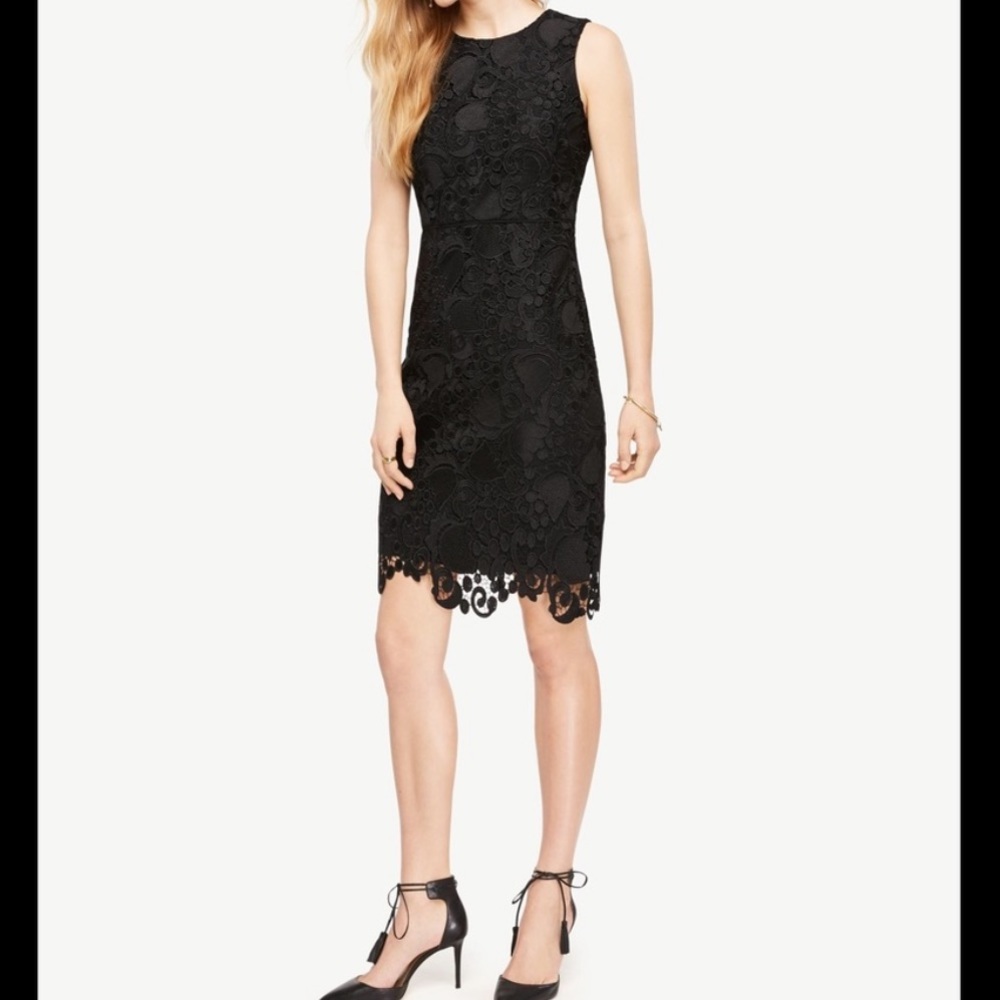 Ann Taylor sleeveless sheath spring lace Dress in Black Sz 12 (NWOT)